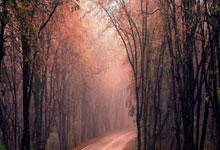 开云官网-广州恒大决战河北华夏幸福，鏖战之中胜负难定