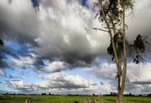 开云体育官方网站-河床替补席深度成优势，冲击世俱杯冠军