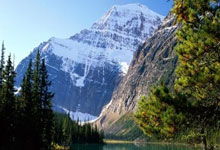 开云体育下载-淬火重铸：一个百年品牌的破茧时刻