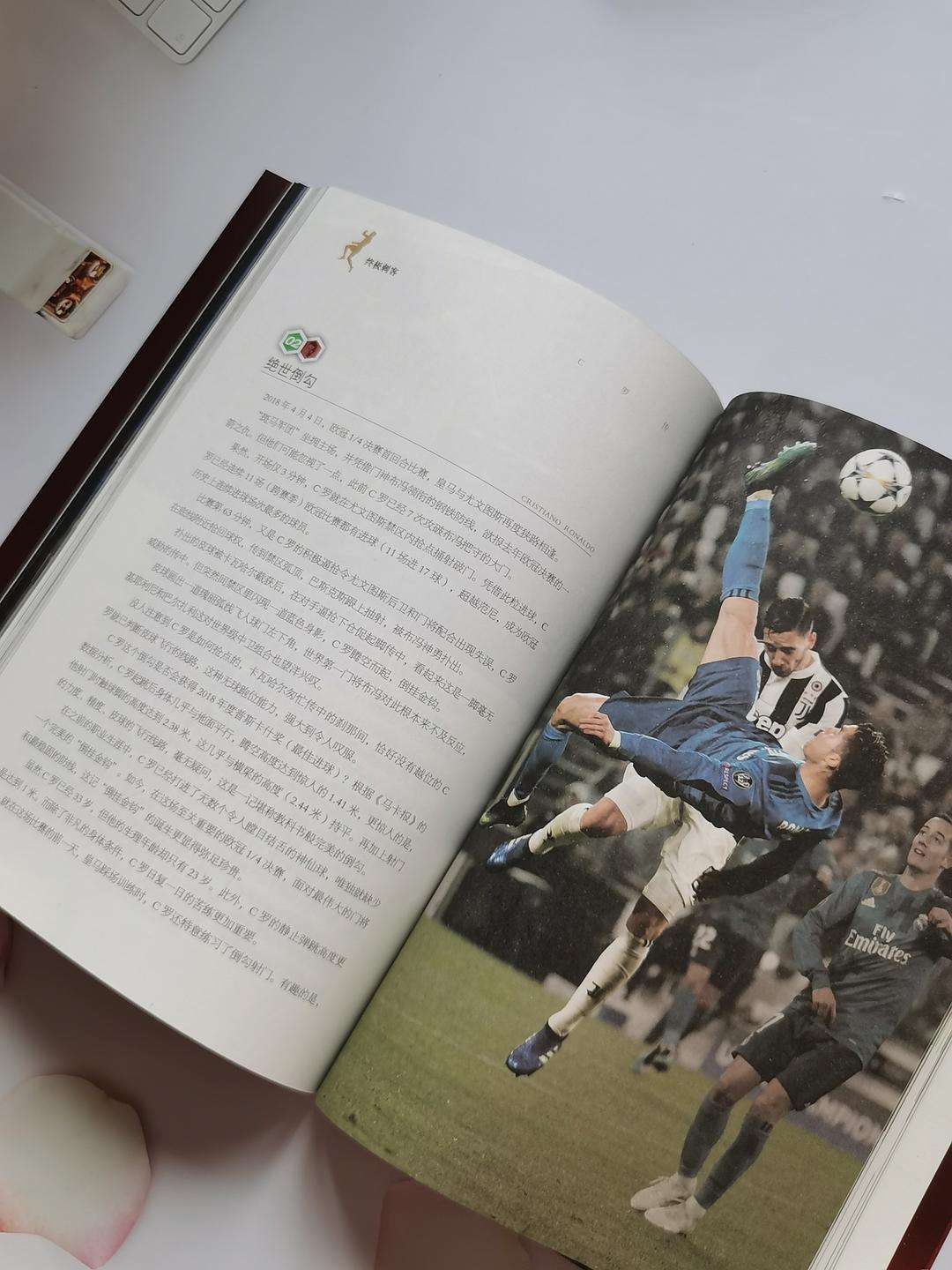 美洲职业赛场掀起风暴,吸引无数球迷热情响应的简单介绍 美洲职业赛场掀起风暴,吸引无数球迷热情响应的简单介绍