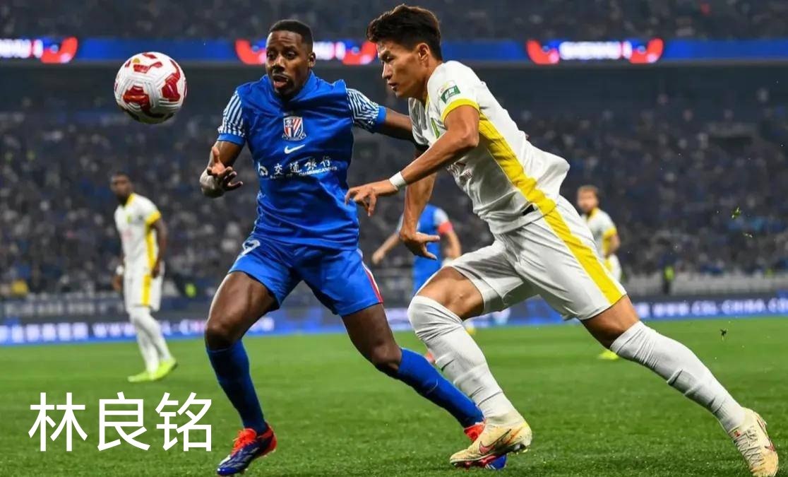 开云体育APP下载-申花客场击败苏宁，豪取宝贵三分的简单介绍