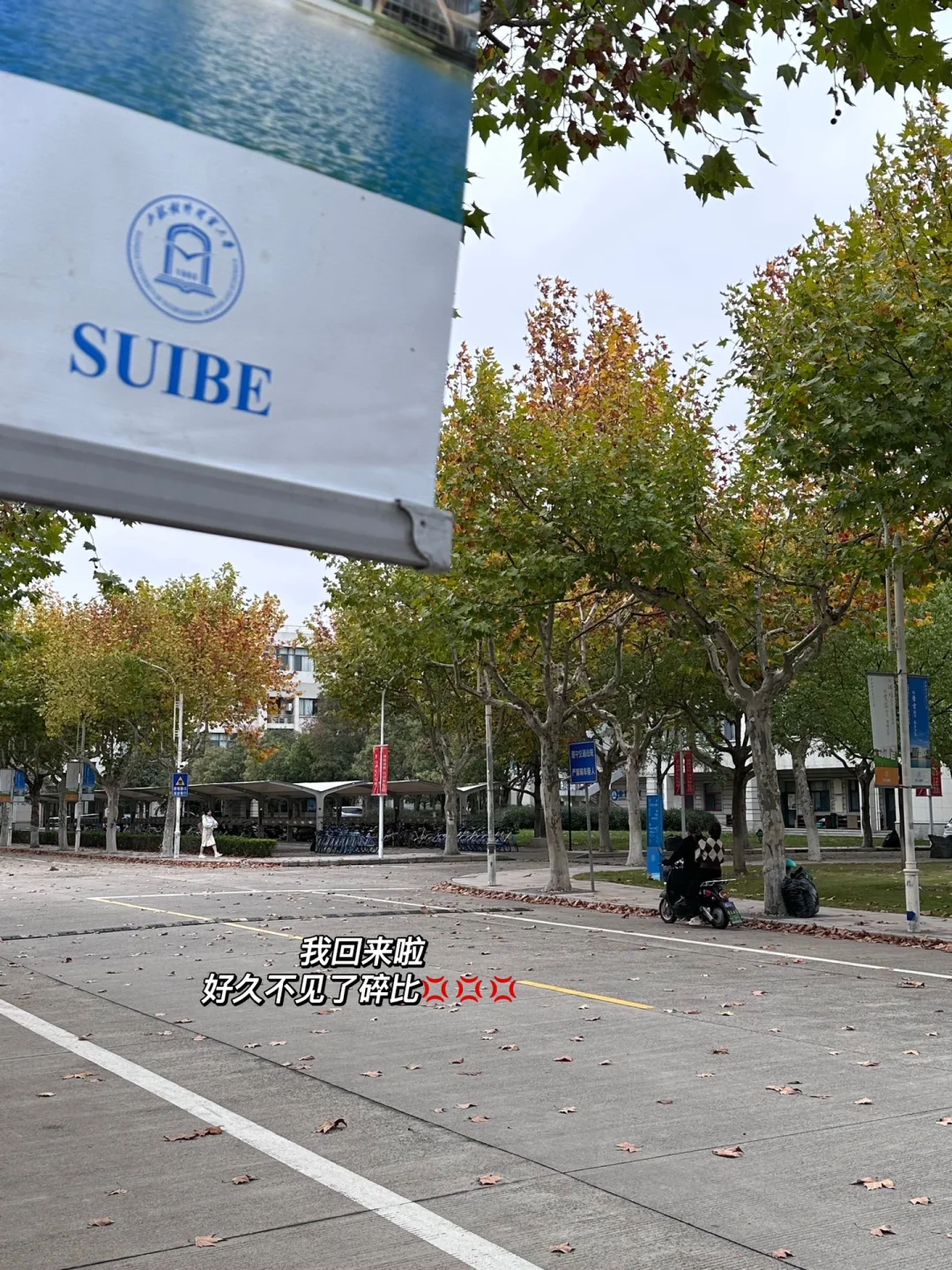 开云APP-上海坚强不够，输给浙江，错过重燃火的机会