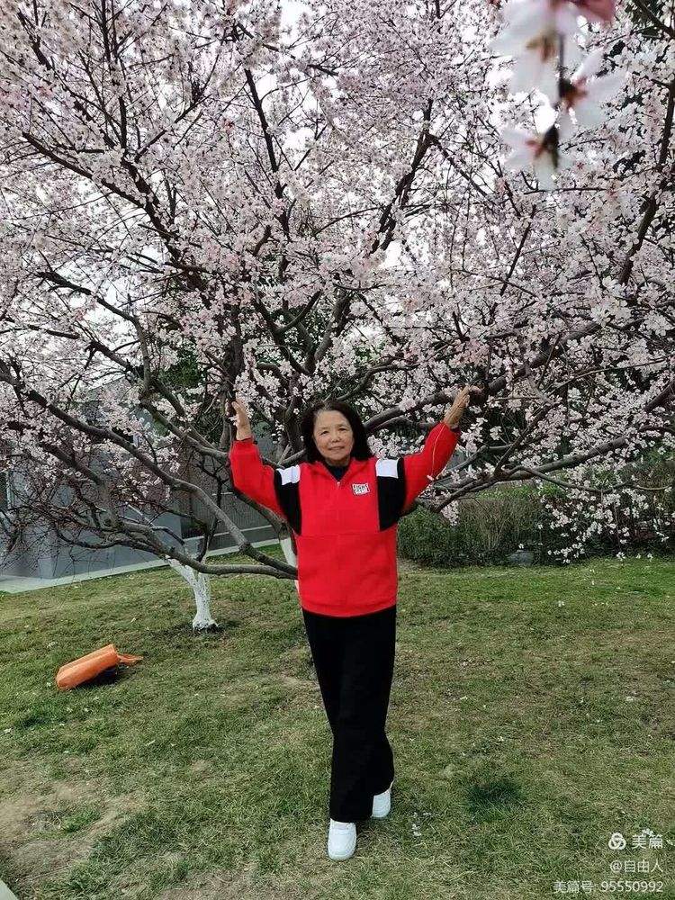 开云体育中国-关于自由人得分频频，场上风云捕捉人心的信息